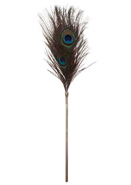 Peacock Tickler Pfauenfeder 27 cm